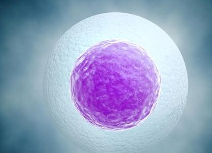 2026宁波最佳助孕机构大盘点，推荐宁波助孕公司排名揭晓！