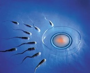 2026天门市第一人民医院试管婴儿价格已公布，收好这份费用榜单