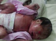 2026宁德助孕机构排名，助孕成功率排名公布