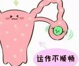 2026在漯河怎么找助孕生孩子的试管机构？