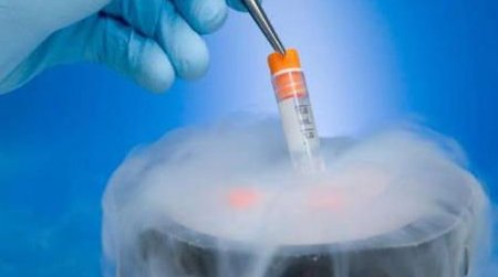 2026年上海市三代试管怀孕生子收费价目表明细公布