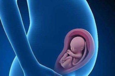 2026上海正规私立试管婴儿医院有哪些？